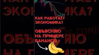 ТАК  РАБОТАЕТ ЭКОНОМИКА. ОБЪЯСНЯЮ ПРОСТЫМИ СЛОВАМИ НА ПРИМЕРЕ БАНАНОВ