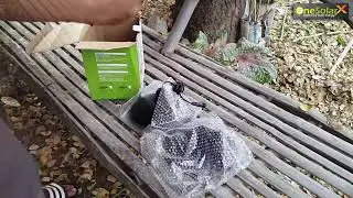 Portable Solar Indoor & Outdoor Lights