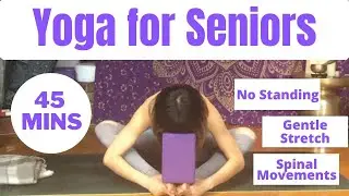 45 Minutes Yoga for Seniors | Young Yoga with Sylvia