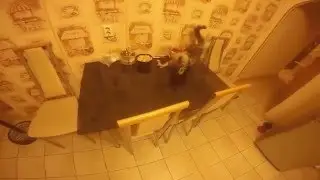 Мейн Кун Шэри играет с пакетом кофе )))