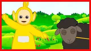 Baa Baa Black Sheep | The Teletubbies | WildBrain Music For Kids