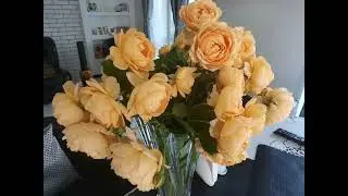 flovers #beautiful #рози #літо #flover