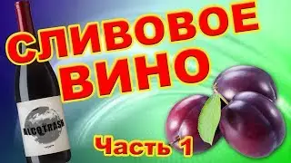 Сливовое вино. Часть 1.