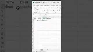 Ms excel basic table video for beginners #exceltricks #exceltutorialforbeginners #exceltutorial
