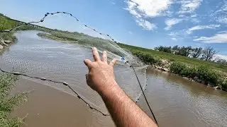 Cast netting to Stock the Farm Pond!!! (Did I do it Wrong???)