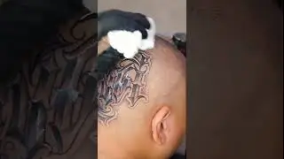 bkk ink tattoo studio