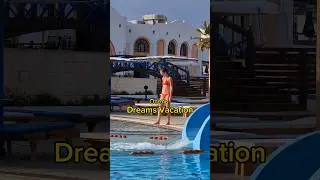 Египет. Обзор отеля в Шарм-Эль-Шейхе 