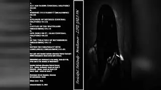 Suicidal Solitude & Mrakomor - Life Goes On (FULL ALBUM) 2023 | Atmospheric Black Metal