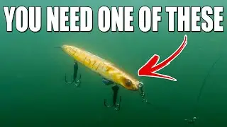BEST 3 Musky Lures! (Spring)