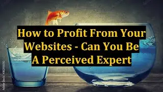 How to Profit From Your Websites - Can You Be A Perceived Expert