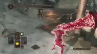 Oroboro reaction