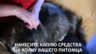 Капли для кошек от блох, клещей, власоедов и комаров
