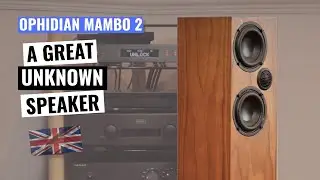 Ophidian Mambo 2 Speaker Review