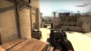 Sebjulon Insane Dgl headshots