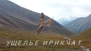 Ущелье Ирикчат. Видеозарисовка с дрона.