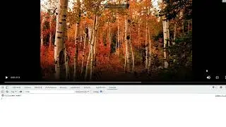 JavaScript HTML5 APIs 037 Fullscreen Change (Enter and Exit) Events