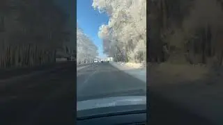 Природа украсила Тюмень