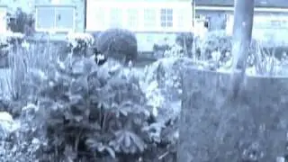 My Dying Bride - My Wine in Silence (from the Sinamorata DVD)