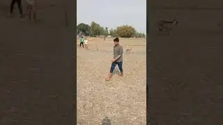Cricket Match for Live