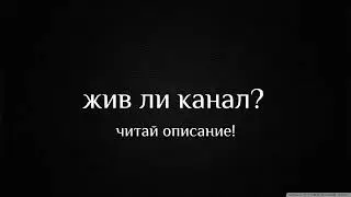 СДЕЛАТЬ ЛИ ВОЗВРАЩЕНИЕ КАНАЛА?