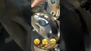 This steel drum was BADLY out of tune. Tuned it up and it’s ready to go!