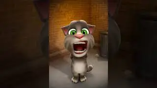 Jajaja