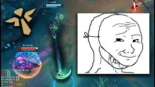 Playing with Supports in League of Legends be like...