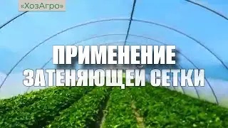 Применение затеняющей (притеняющей) сетки от компании 