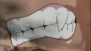 Dragon Ball Z: Ultimate Uncut Edition - Intro