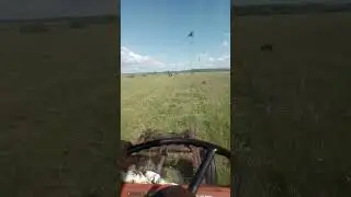 сенокос продолжается