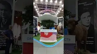 Орловская область на выставке-форуме «Россия» на ВДНХ 🦅 