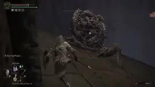 Oldest Ringest