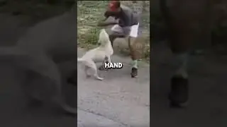 Save you life with this technique | Dog Bite
