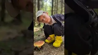 #Суровый_Ботаник