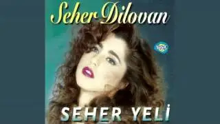 Seher Dilovan - Ah Ayrılık
