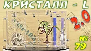 Муравьиная ферма Кристалл-L 2.0 от 4ants Обзор + Конкурс
