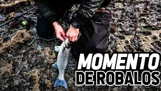 TECHNIQUES FOR FISHING SEABASS - SPINNING