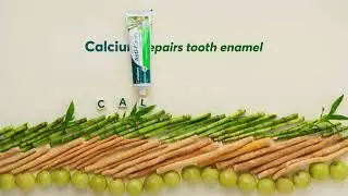 Himalaya Anti Cavity Herbal Toothpaste