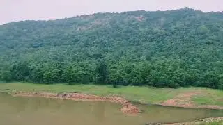 my village forest nature scene