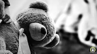 A Journey Among the Pedophiles of the Deep Web