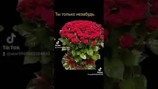 Ты только незабудь.🥰🤗💃.Красивая песня для Вас.