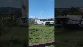 сафари парк