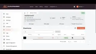 How to Edit supervisor config in Daemons through Cloudpanzer?