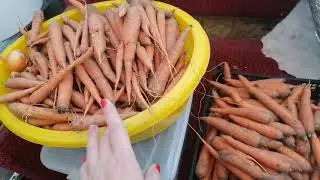 УБИРАЕМ ОГОРОД//СБОР И РАЗБОР УРОЖАЯ//ЗА КОРМАМИ//ВКУСНЫЙ ВЕЧЕР//