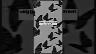 кто-то:пытается завоевать моё сердце 💖