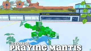Praying mantis! Crazy |plane crazy