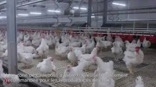 [FR] Système de tapis à fientes simple