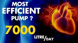 facts about heart in hindi | amazing facts about heart | interesting heart facts | scientific facts