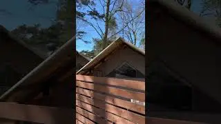 Малина Глэмпинг Зеленоградск Малиновка