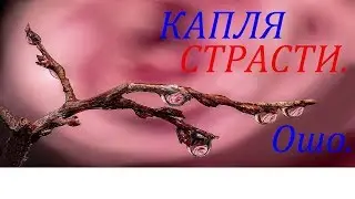 КАПЛЯ СТРАСТИ. ОШО.